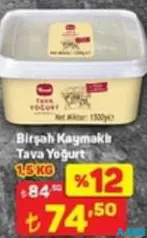 BİRŞAH KAYMAKLI TAVA YOĞURT 1,5 KG
